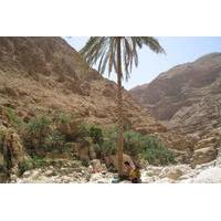 Private Full Day 4X4 Tour Wadi Shab and the East Coast From Muscat