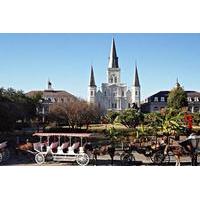 Private French Quarter Walking and City Surrounding Neighborhoods Driving Tour