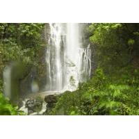 Private Hana Adventure