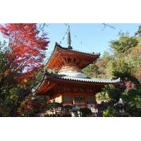 Private Customized Sightseeing Tour in Hiroshima with a Guide