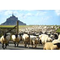 Private Walking Tour of Mont Saint Michel and Surroundings