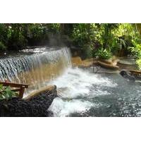 Private Tour to the Arenal Volcano and Tabacon Hot Springs