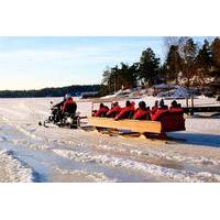 Private Snowmobile Sleigh Tour in Helsinki Archipelago Including Lunch