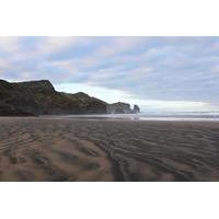 Private Tour of Bethells Beach and Lake from Auckland