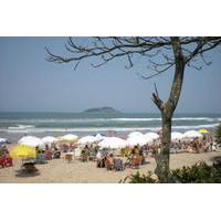 Private Tour: Coffee and Beaches Day Trip from São Paulo