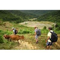 Private 3-Day Trekking Tour: Pu Luong Nature Reserve Including Homestay from Hanoi