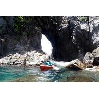 private eco tour including kayaking paddleboarding and snorkeling