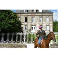 Private Tour: Normandy Thoroughbred Horse Studs with Optional Horseback Riding from Caen