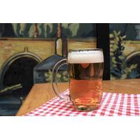 Prague Czech Beer and Bar Evening Tour