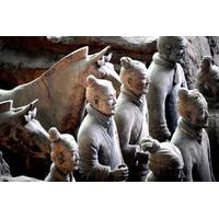 Private 8-Day China Tour: Beijing, Xi\'an and Shanghai