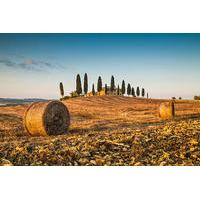 Private Chianti Tuscany Wine Tasting Tour from Florence