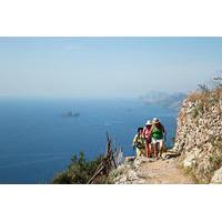 Private Transfer: Path of Gods and Positano Day Trip from Naples or Amalfi Coast