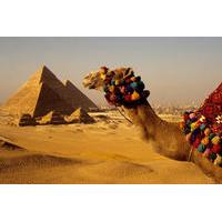 Private Guided Tour to Giza Pyramids and Cooking Class with Local Family in Cairo