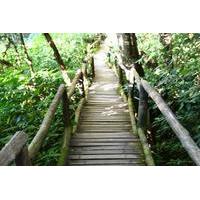 private 8 hour tour of doi inthanon national park including lunch from ...