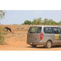 Private Departure Transfer: Southern Kruger Accomodations to Skukuza Airport