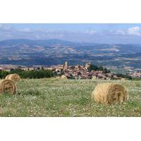 Private Tour: Wine and Châteaux in the Beaujolais