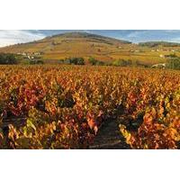 private tour cycling the beaujolais with wine tasting from lyon