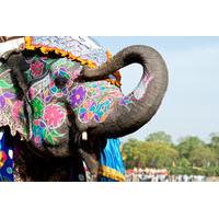 Private Tour: Jaipur Sightseeing Including Jantar Mantar, Amber Fort and Elephant Ride