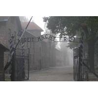Private Day Tour from Prague to Auschwitz-Birkenau Museum