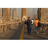 Private Brooklyn Bridge Guided Walking Tour