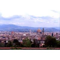 Private Tour: Treasures of Florence Half-Day Walking Tour