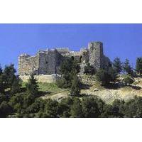Private Half Day Tour to Ajloun from Amman