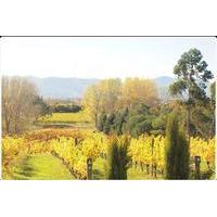 private tour marlborough winter wine and scenic tour from blenheim