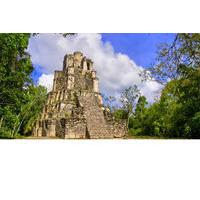 Private Tour to Muyil Ruins Tulum and Coba from Tulum