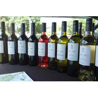 Private Tour: Bay of Islands Tour with Wine Tasting