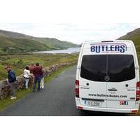 Private Ring of Kerry Bus Tour from Cork for 1-12 Passengers