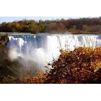 Private Tour and Transfer from Hamilton International Airport to Niagara Falls