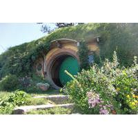 Private Tour: Hobbiton Movie Set Tour from Auckland