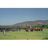 Private Tour: Half-Day Tour of Dera Amer Elephant Safari with Lunch in Jaipur