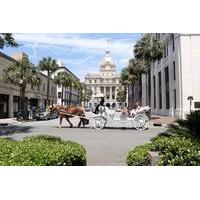 Private Horse Drawn Carriage Tour