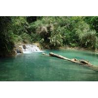 Private Tour: Kuangsi Waterfall from Luang Prabang