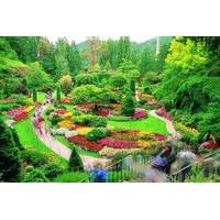 Private Tour: Butchart Gardens and Saanich Peninsula