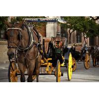 Private Horse and Carriage Tour of Seville