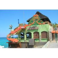 Private Montego Bay Highlights Tour