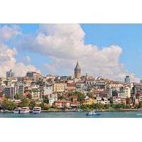 Private City Tour from Istanbul Port: Topkapi Palace, Hagia Sophia, Hippodrome