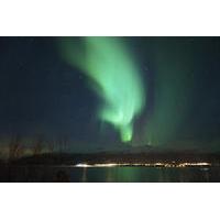 Private Tour: Northern Lights Experience from Tromso with Photography Tips