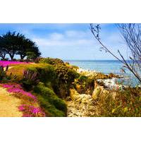 Private Monterey and Carmel Day Trip from San Francisco