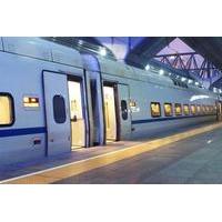 private arrival transfer rome train station to hotel