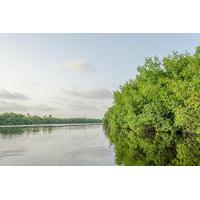 Private Tour: Nichupte Lagoon Wildlife from Riviera Maya
