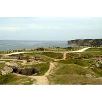 private tour normandy landing beaches battlefields museums and cemeter ...