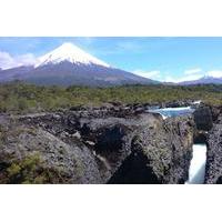 Private Tour: Puerto Montt, Puerto Varas and Vicente Peres Rosales National Park