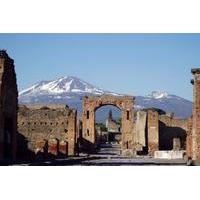 private tour pompeii and naples full day trip from rome pizza lunch in ...