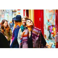 Private 90 Minutes Amsterdam Kickstart Tour