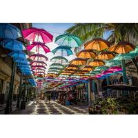 Private Guided Tour of Northern Mauritius with Shopping in Port Louis