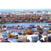 Private Sightseeing Tour in Reykjavik