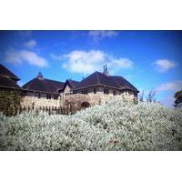 Private Day Trip to Haputale fro...